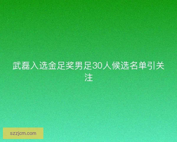 武磊入选金足奖男足30人候选名单引关注